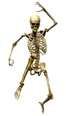 3D Rendering Human Skeleton on White