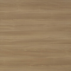 Wood texture background. Natural wooden surface
