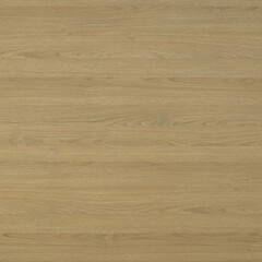 Fototapeta premium Wood texture background. Natural wooden surface