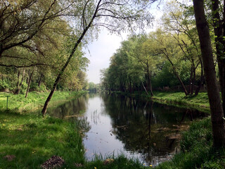 Fototapeta na wymiar River course and trees near Berlin, Germany