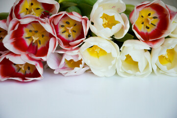 a bouquet of colorful tulips. beautiful spring flowers. background for decoration for the Easter holiday.