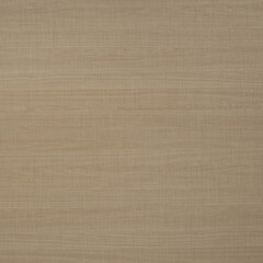 Fototapeta na wymiar Wood texture background. Natural wooden surface