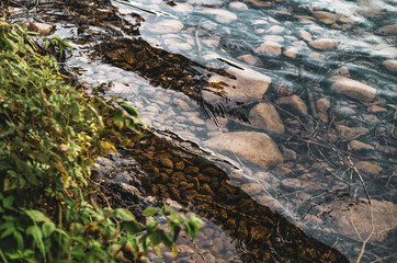 Kamienie leżące pod wodą nad brzegiem czystego jeziora.