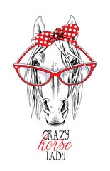Portrait of a elegant horse in a red polka dot headband and in a glasses. Crazy horse lady - lettering quote. Poster, t-shirt composition, handmade print. Vector illustration.
