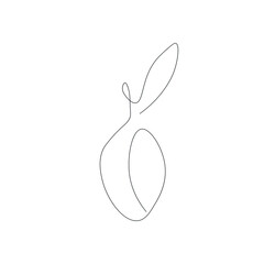 Plum fruit on white background, vector illustration