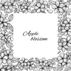 Square frame of apple flowers. Apple blossom, tree branch. Vector illustration in graphic hand draw sketch style. Linear Art.