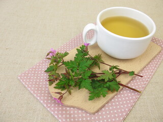 Herbal tea with Roberts geranium, cranesbill, Geranium robertianum