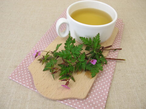 Herbal tea with Roberts geranium, cranesbill, Geranium robertianum