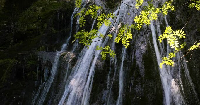 Spring in Gorg De L Olla waterfall in La Garrotxa, Girona, Spain