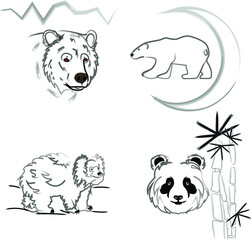 vector drawing of various bears
