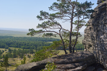 Fototapeta premium The top of a mountain range against the background of fields and forests