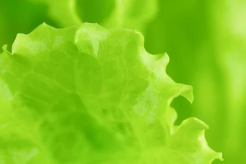 Foto op Plexiglas Close-up van vers blad van salade © Albert Ziganshin