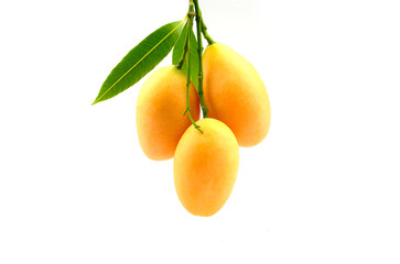 yellow fruit,Mariam plum or ma-plang(Thai fruit),in high definition on white backgroun