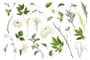 set of peonies and mimosa © milavas