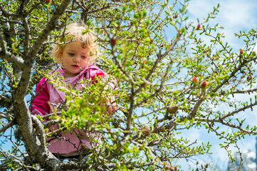 Cute blonde girl climbing a tree on alpine meadow.