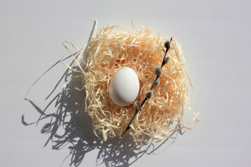 Spring flat lay composition with white easter egg in nest and pussy-willow catkins on white background. Top view, copy space. Hard light, shadow