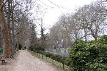 Late afternoon Spring walk in the park