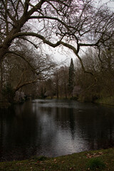 Late afternoon Spring walk in the park
