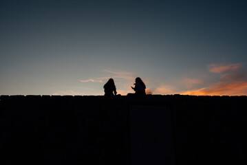 Silhouette of female friends in nature