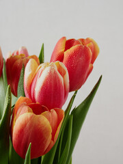Bouquet of tulips on a wooden rustic table. Spring holidays concept background.