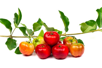 Pile of Acerola Cherry or Barbados Cherry with branch isolated on white background.
