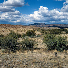 Fototapeta na wymiar Desert and clouds. Scrubs. Gila National Park New Mexico USA