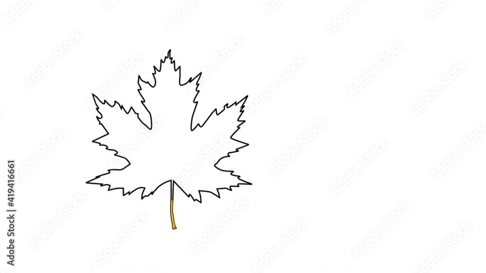 Wall mural self drawing animation of yellow maple leaf outline. copy space. white background. alpha channel.