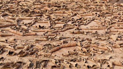 Background or cracked soil surface. Weather changes from the global warming crisis have caused drought in Southeast Asia and Africa. Selective focus