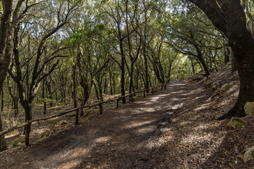 Ses Fonts Ufanes, Park in Mallorca, Spain