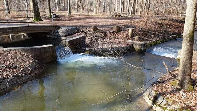 Bach mit kleinem Wasserfall im Siebentischwald Stadtwald Augsburg Zigeunerbach m&uuml;ndet in Siebenbrunner Bach
