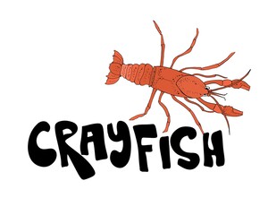 Crayfish cartoon doodle hand drawing illustration. Simple art isolated on white background. Underwater wildlife, nature
