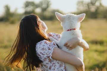 Woman hugging  and cuddling with cute white puppy in warm sunset light in summer meadow. Happiness