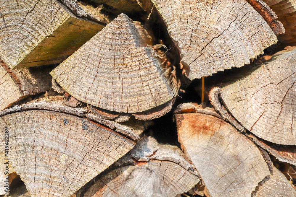 Wall mural firewood background. log background or stack of log.