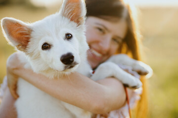 Happy woman hugging  and cuddling cute white puppy in warm sunset light in summer meadow. Happiness