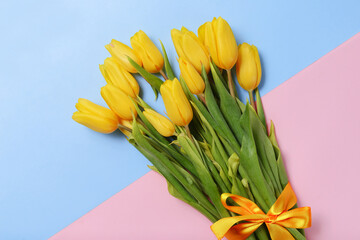 many tulips with yellow petals on a blue, pink background