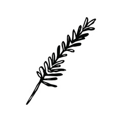 Rosemary icon on a white background. Vector illustration.