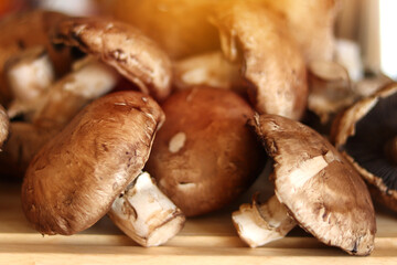 Mushrooms over kitchen wooden board. Healthy food concept.