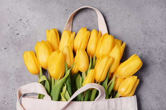 tulips with yellow petals on a gray background, a bouquet of flowers
