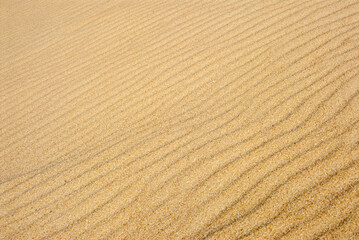 Background with rippled sand