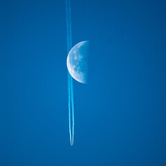 Mond