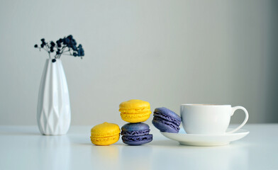 White cup of coffee, multicolored macaroons, vase with a sprig of dried berries on white background, close up