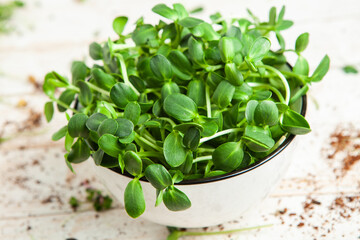 Microgreens the small shoots of any of various plants, such as arugula, dill, kale, or sorrel, that are used as food, especially in salads. 