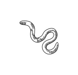 earthworms vector illustration isolated on white - obrazy, fototapety, plakaty