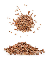 Coriander seeds isolated on a white background. Top view.