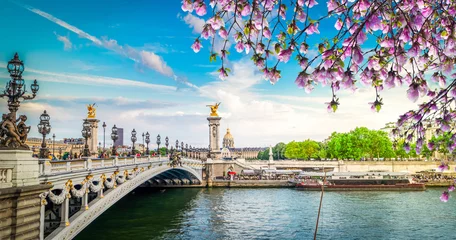 Photo sur Plexiglas Pont Alexandre III Bridge of Alexandre III, Paris, France