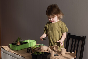 a little girl plants seedlings in a peat pot. spring planting of garden plants. eco-friendly life