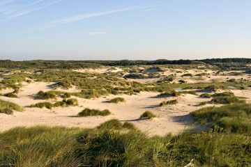 Fototapeta na wymiar Berkheide, Wassenaar, Nederland / Netherlands