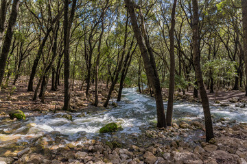 Obraz premium Ses Fonts Ufanes, Park in Mallorca, Spain