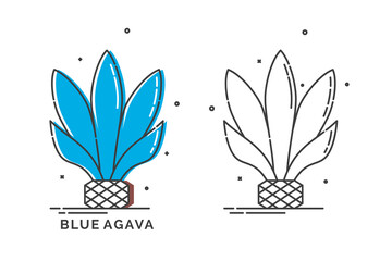 Blue agave plant for distill tequila. Isolated logo on white background. Two kinds flat style image of agricultural product with text caption. Line art design in thin dashed lines