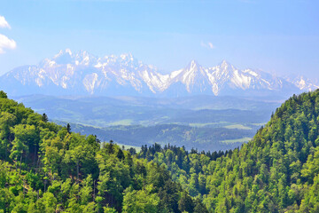 View of the Tatra Mountains  from Palenica in the Pieniny Mountains.
